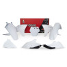 Kit plastiques + Protections de fourches - GASGAS